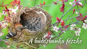 A büdösbanka fészke - magyar népmese - Mesélek Neked