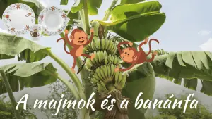 A majmok és a banánfa - Mesetányér - Mesélek Neked